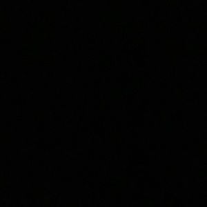 Meet your Posher, Savannah